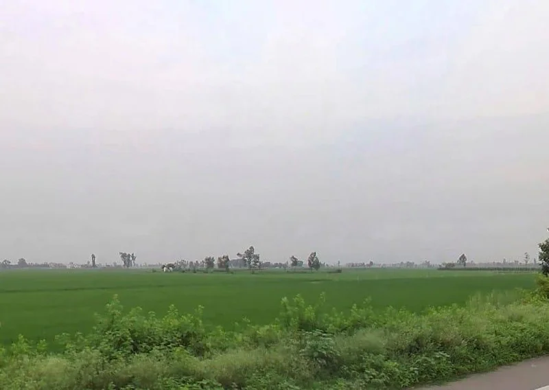 F4HC+5F Kalyanpur, Uttar Pradesh, India preview 2