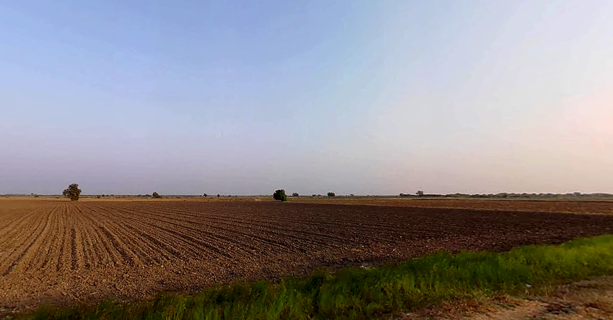 Vijapur, Gujarat, India