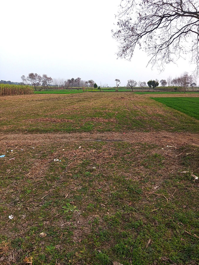 Raisi, Uttarakhand 247671, India