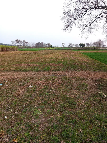 Raisi, Uttarakhand 247671, India preview 2