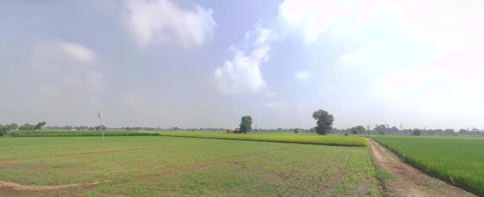 XH83+728, Mangal Nagar, Jwala Nagar, Saharanpur, Uttar Pradesh 247001, India