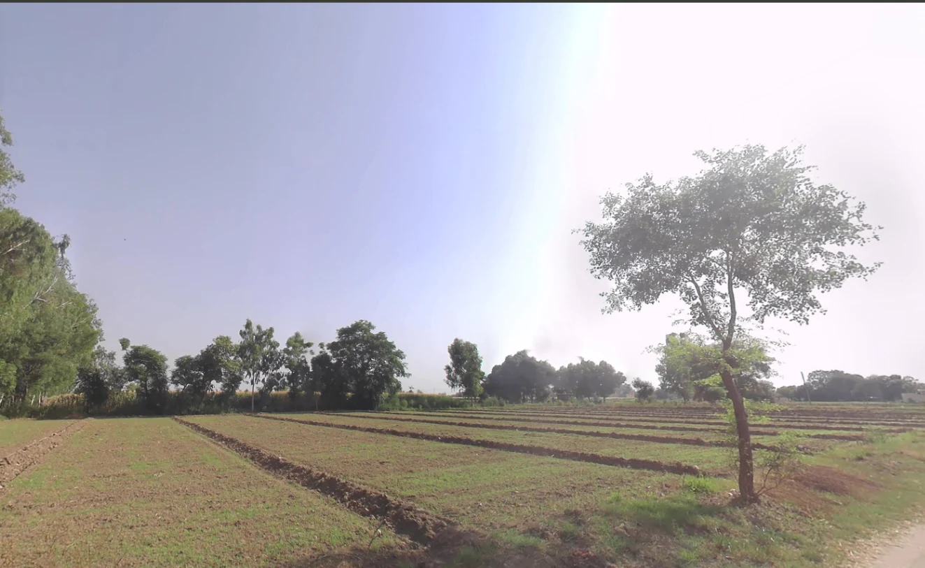 Hasanawala, Uttarakhand 247662, India