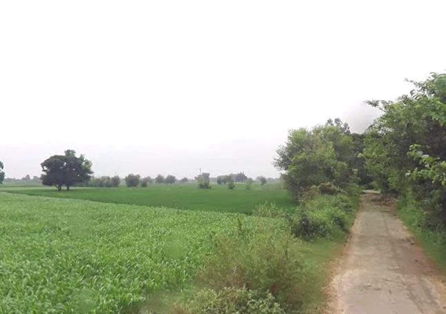 Kankather, Uttar Pradesh 244235, India