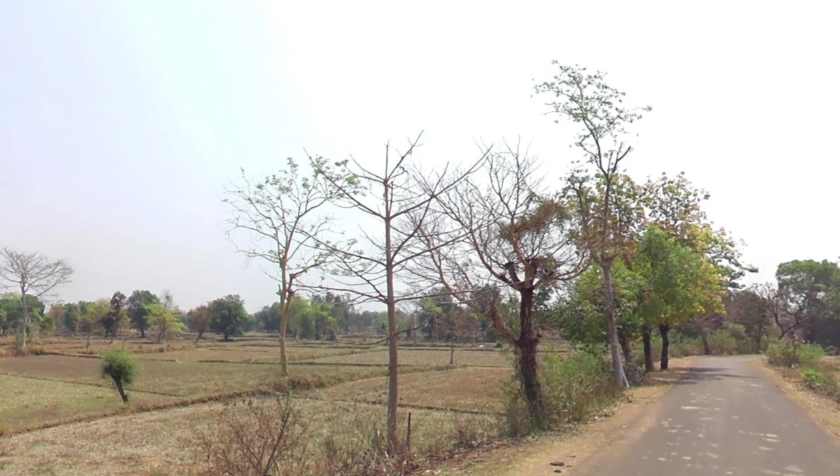 AGRICULTURAL in BADGAON, balaghat