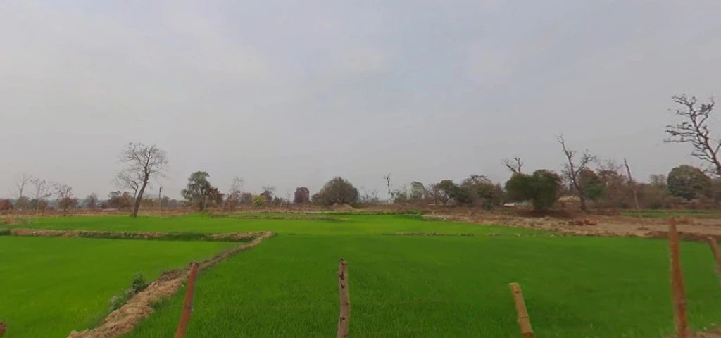 Sambalpur, Chhattisgarh 493773, India