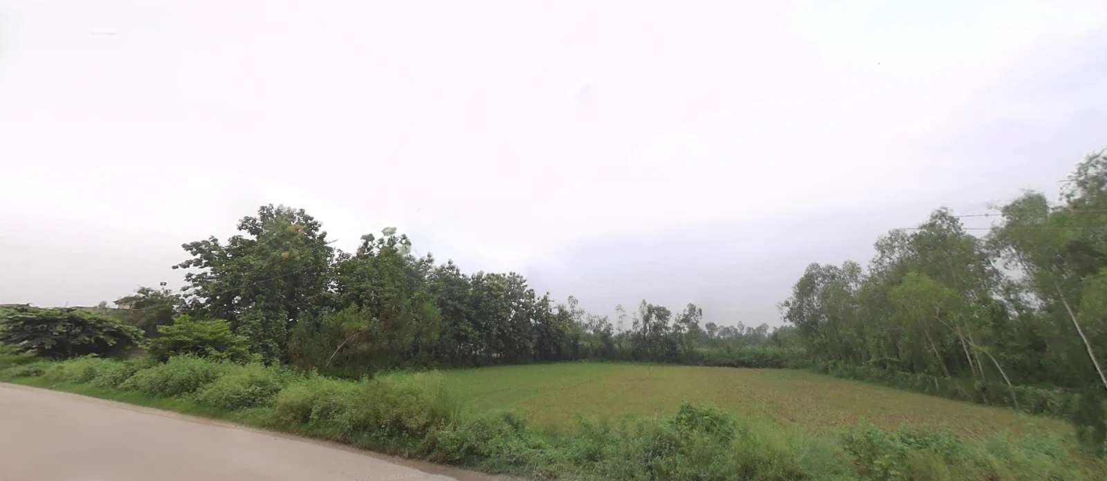 Biharigarh, Uttar Pradesh 247662, India preview 2