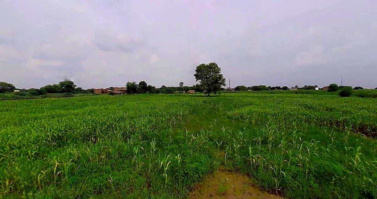 Jurhera, Rajasthan 321023, India