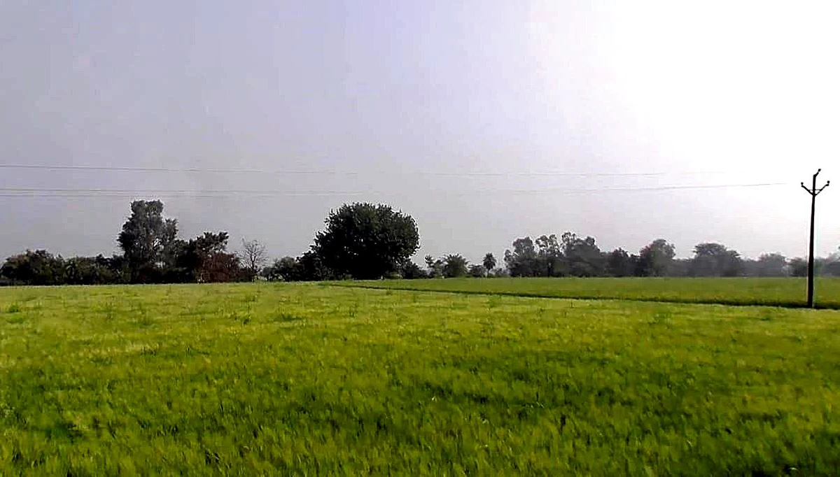 Sankheda, Madhya Pradesh 466665, India