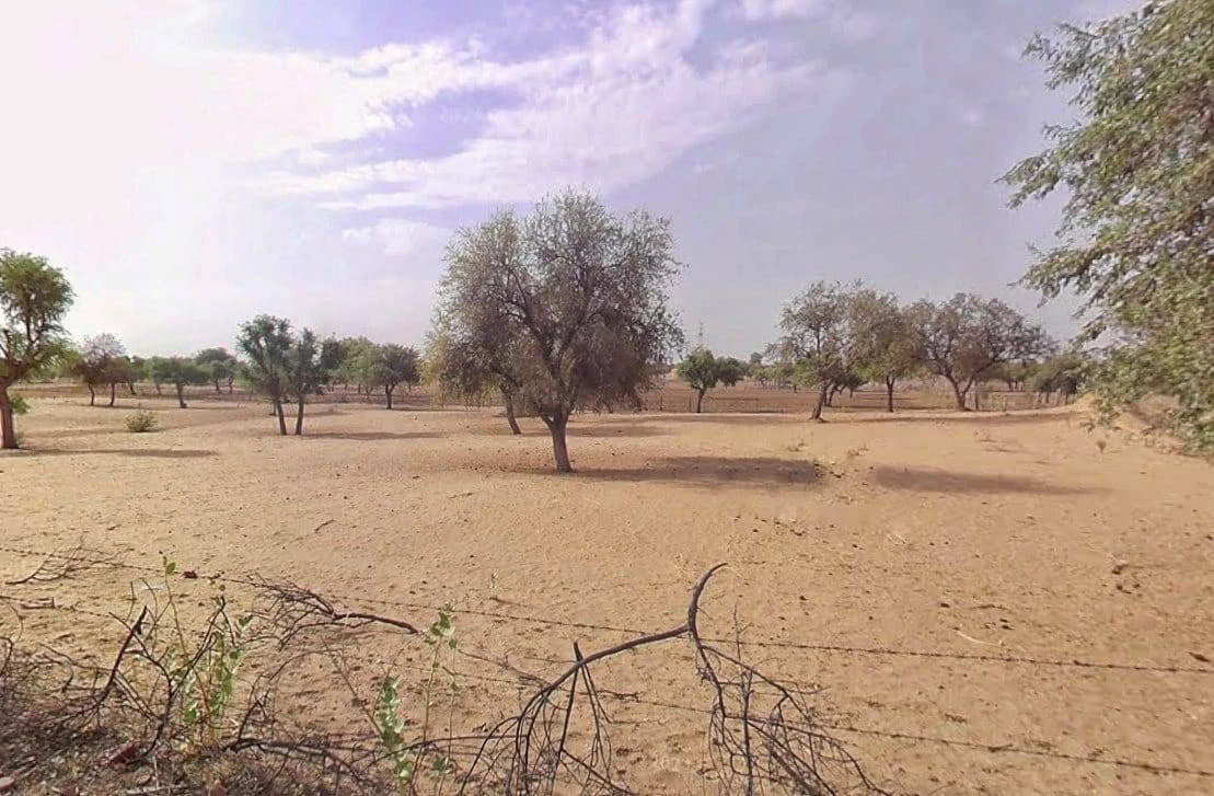 Bhurasar, Rajasthan, India