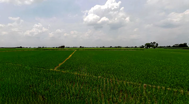 Morinda - Chunni Rd, Bhateri, Punjab, India preview 2