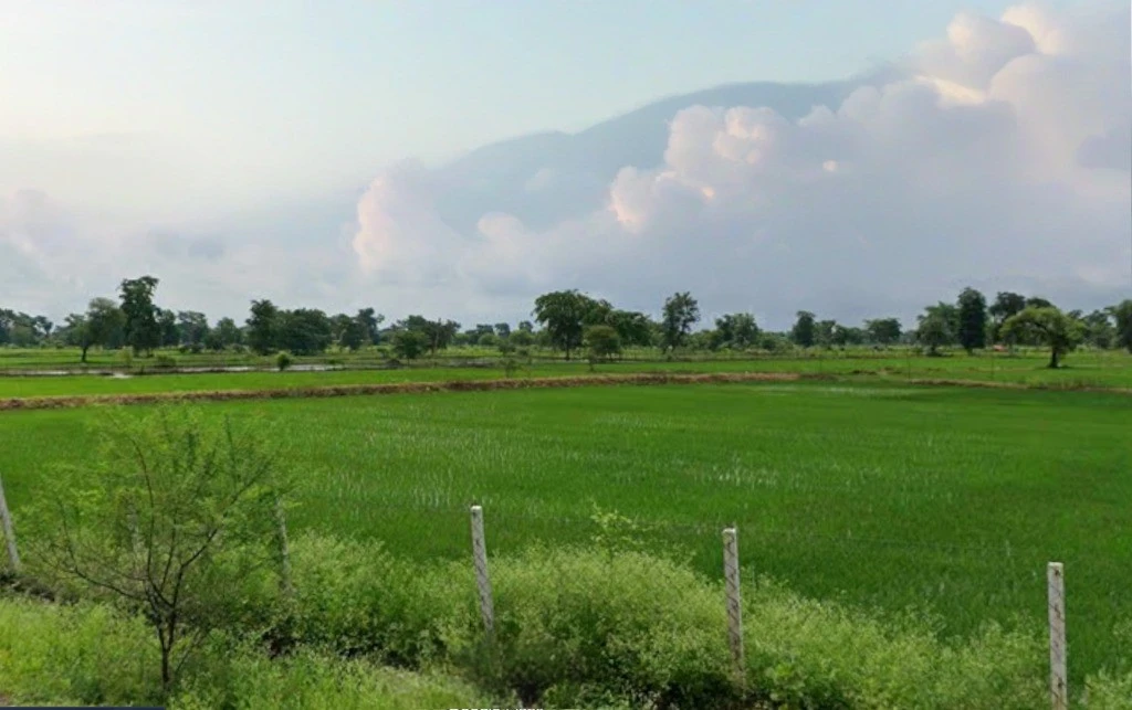 Patewa, Chhattisgarh 493551, India