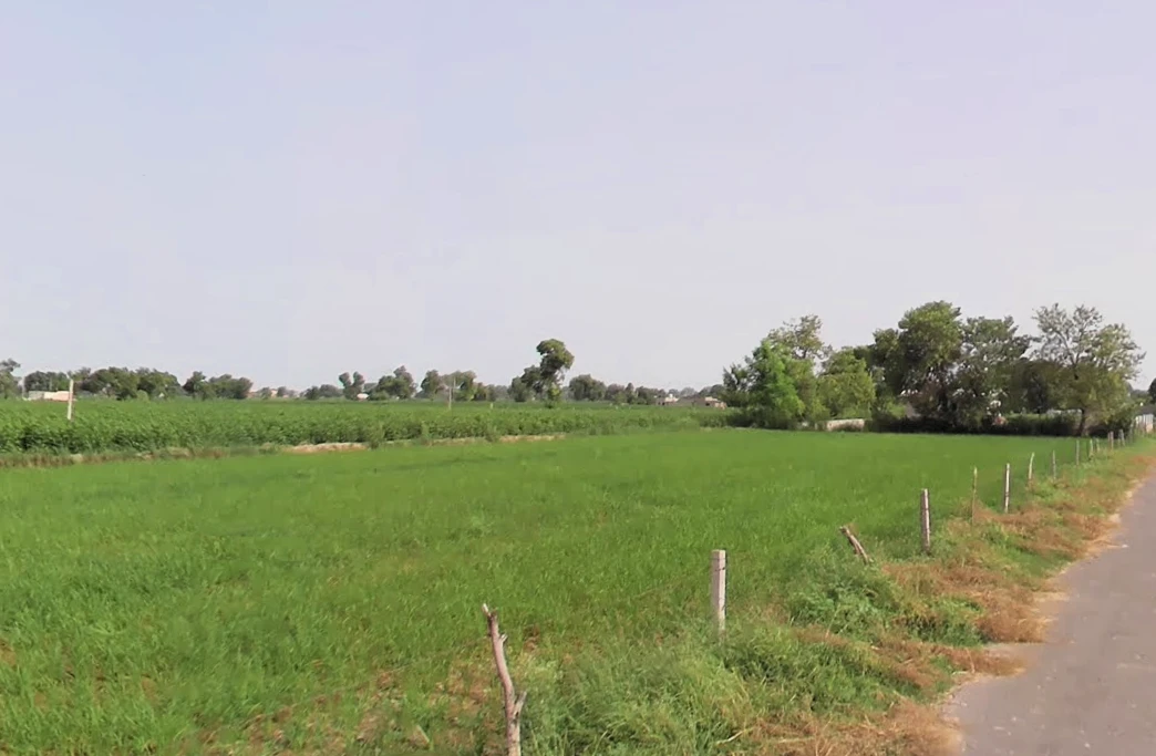 Sirsa, Haryana, India