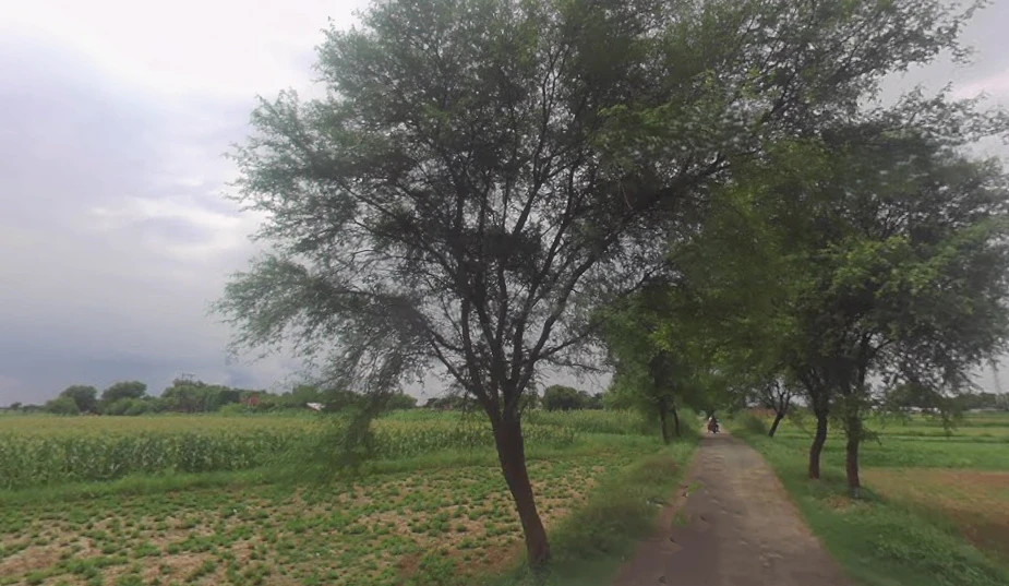 Chunar, Uttar Pradesh 231304, India