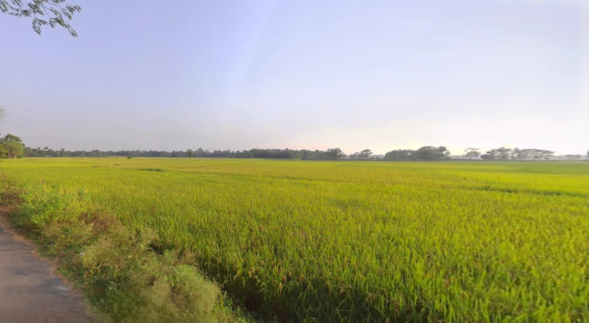 Falakata, West Bengal 735211, India