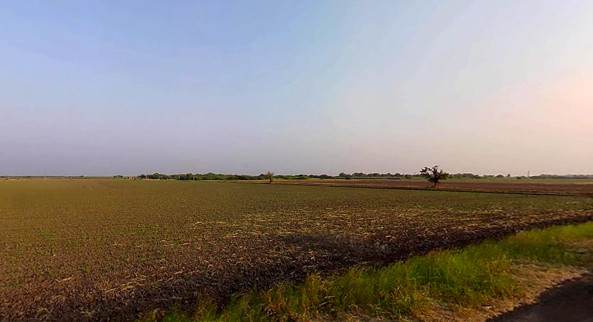 Dhanfuliya, Gujarat 362205, India