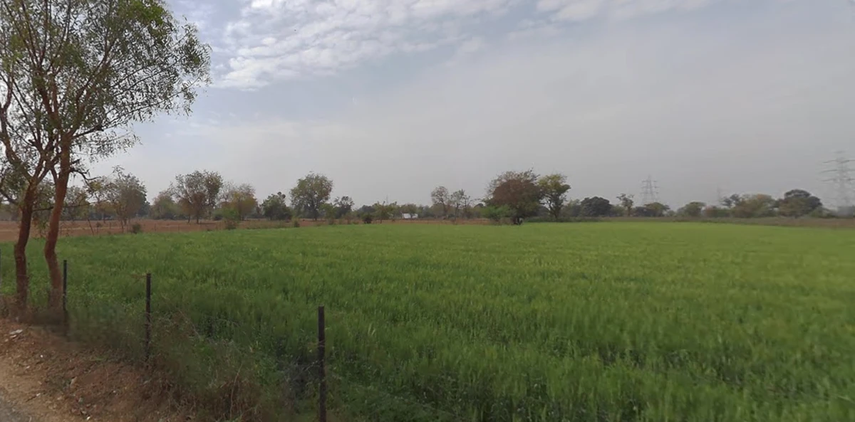 Agricultural Land in Amod , Bharuch