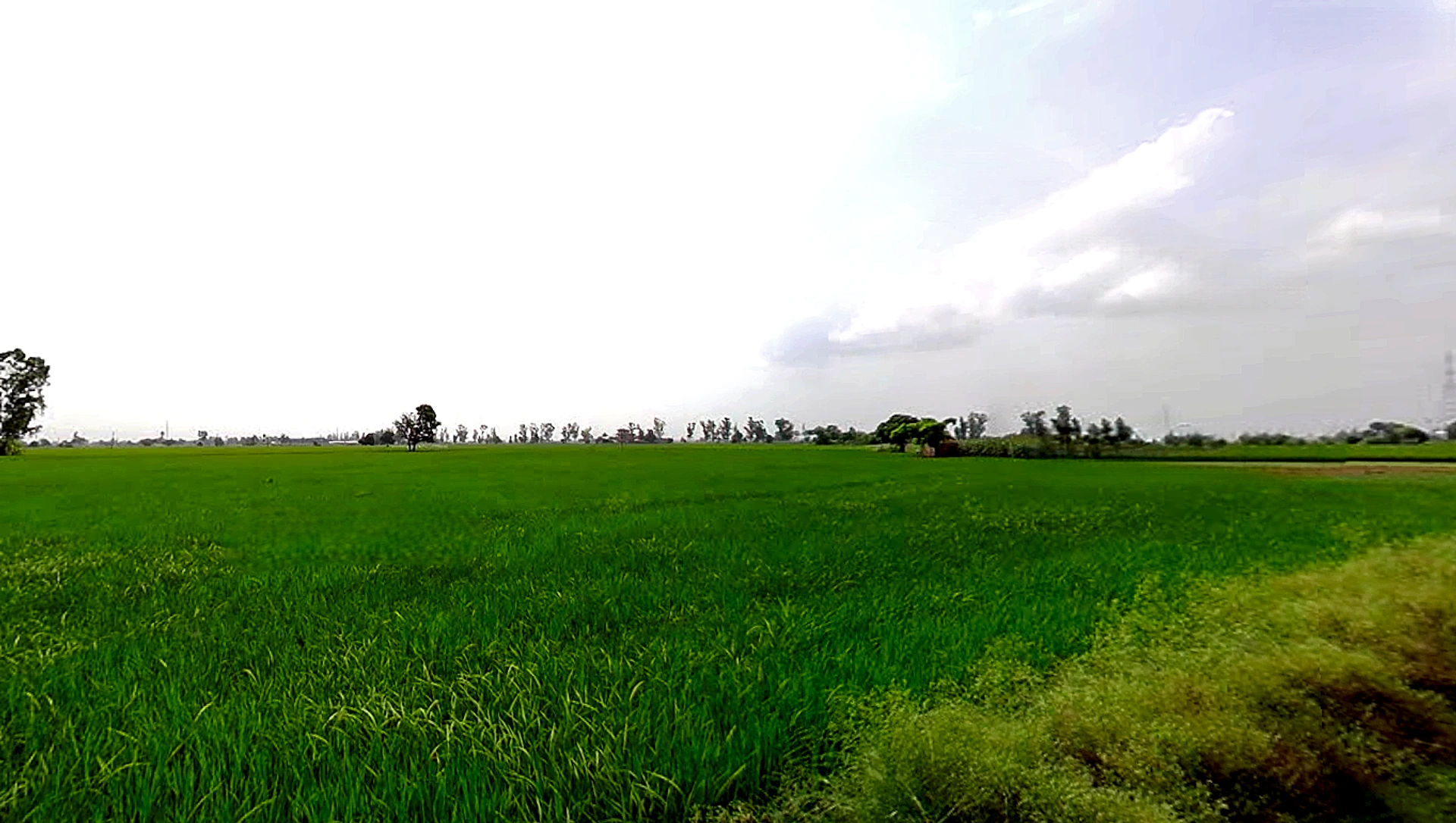 Sanaur Rd, Sunny Enclave, Patiala, Punjab, India