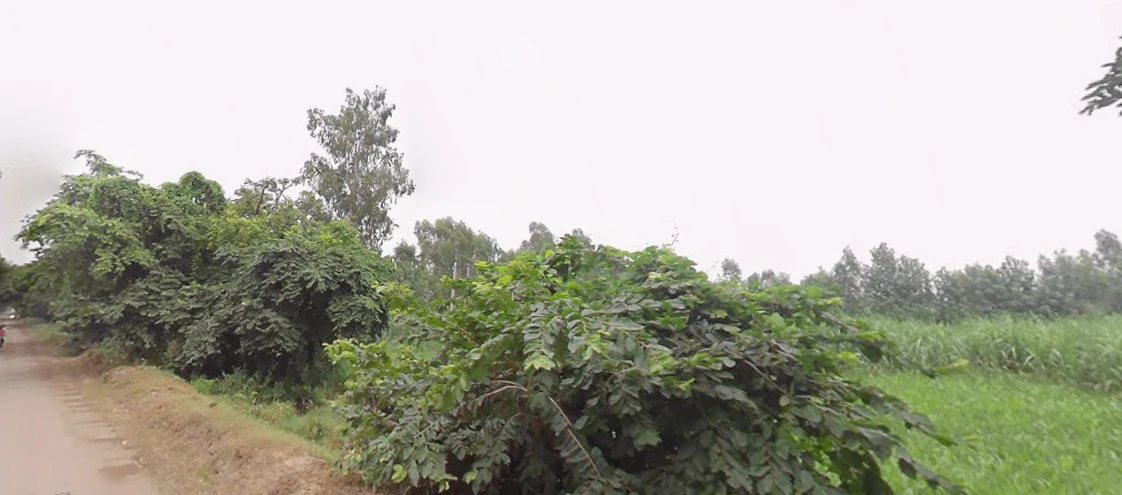 Dataganj, Uttar Pradesh 243635, India