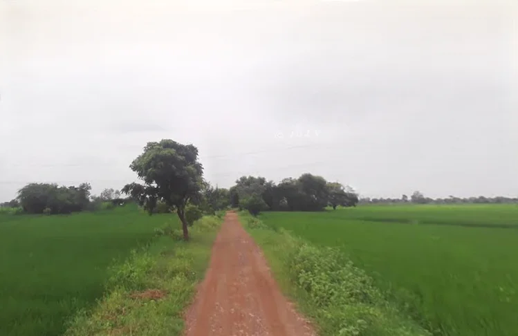 Bachhgaon, Uttar Pradesh 283204, India preview 2