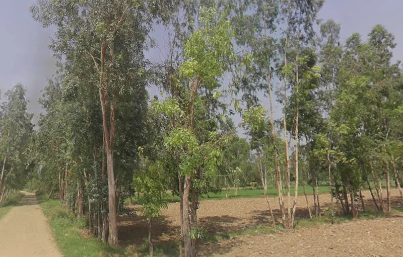 Akbarpur, Uttar Pradesh 244411, India preview 3