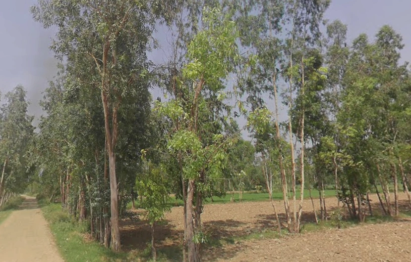 Akbarpur, Uttar Pradesh 244411, India