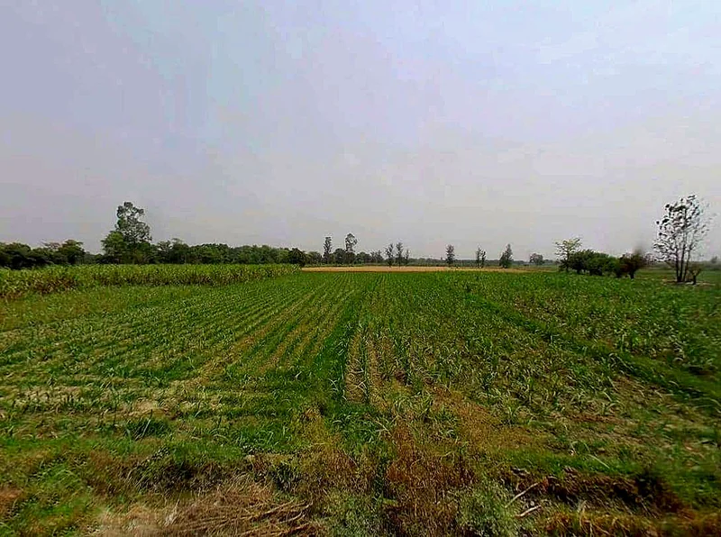 Sardhana, Uttar Pradesh 250342, India preview 3