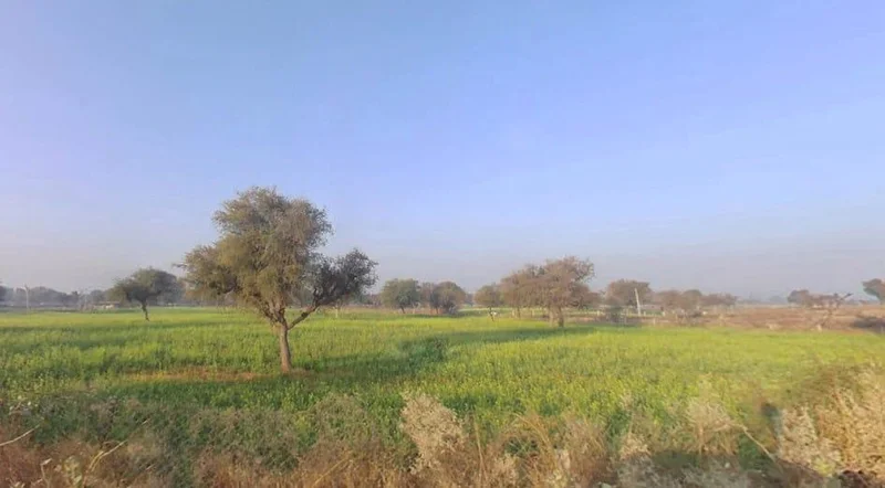 Agricultural Land in Mokhampura, Jaipur