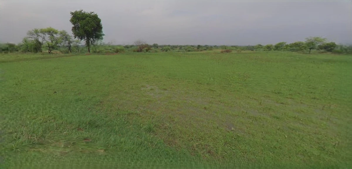 Rangia, Assam, India