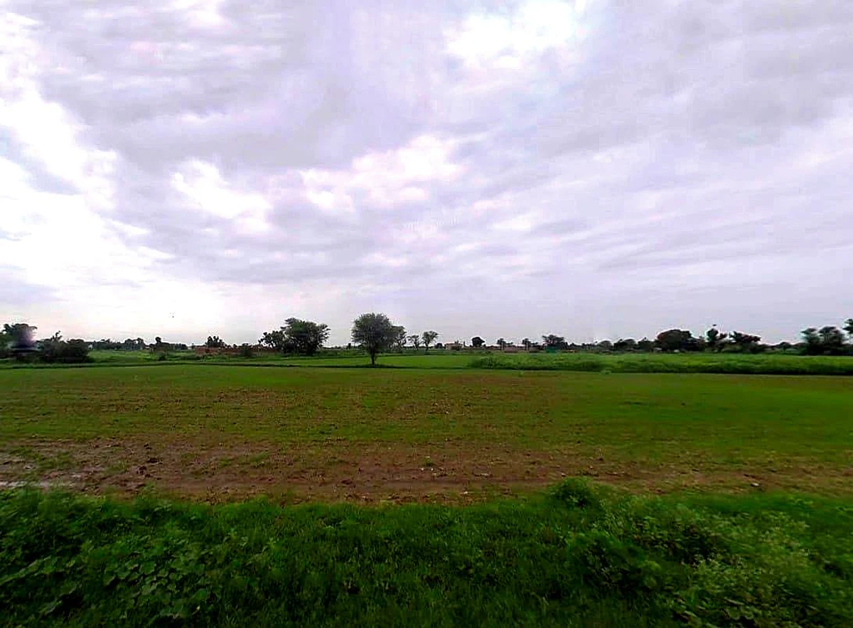 Noona Khera, Uttar Pradesh, India