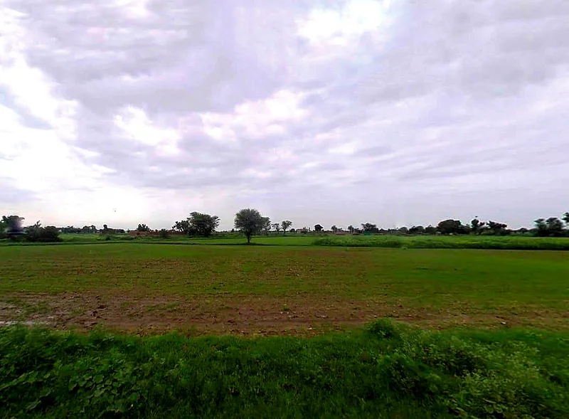 Noona Khera, Uttar Pradesh, India preview 2