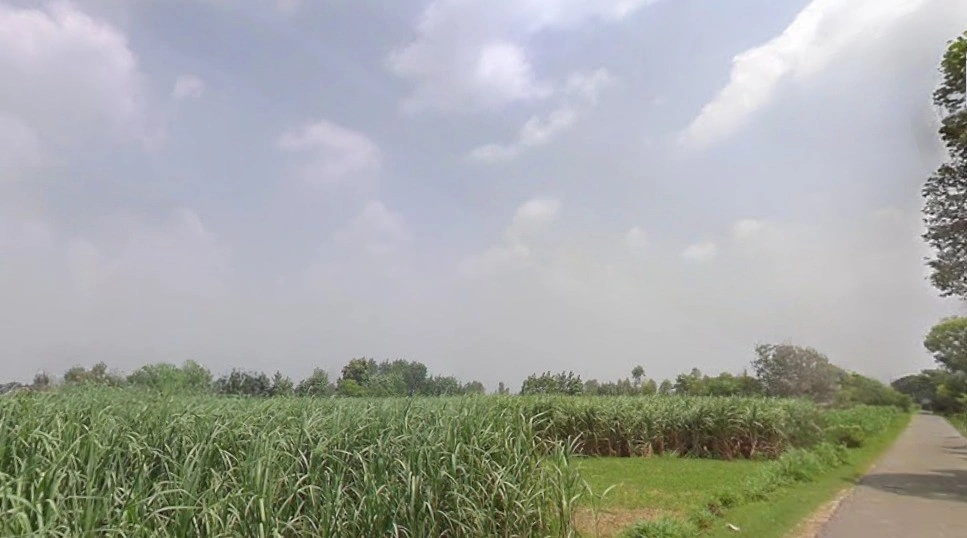 Kashipur, Uttar Pradesh, India