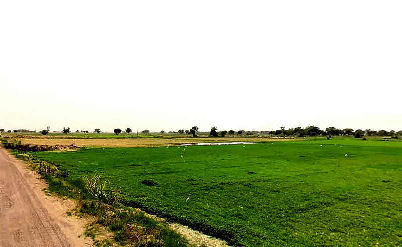 Pataudi, Haryana 122503, India preview 2