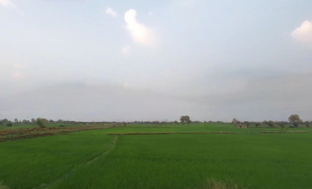 AGRICULTURAL in Dharamjaigarh/Kharra, raigarh