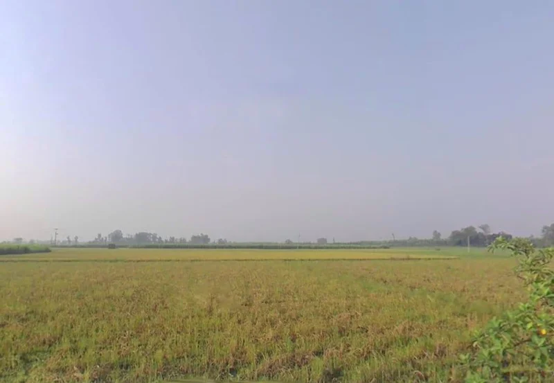 VV4Q+FW, Bhagchuri, Uttarakhand 262308, India preview 3