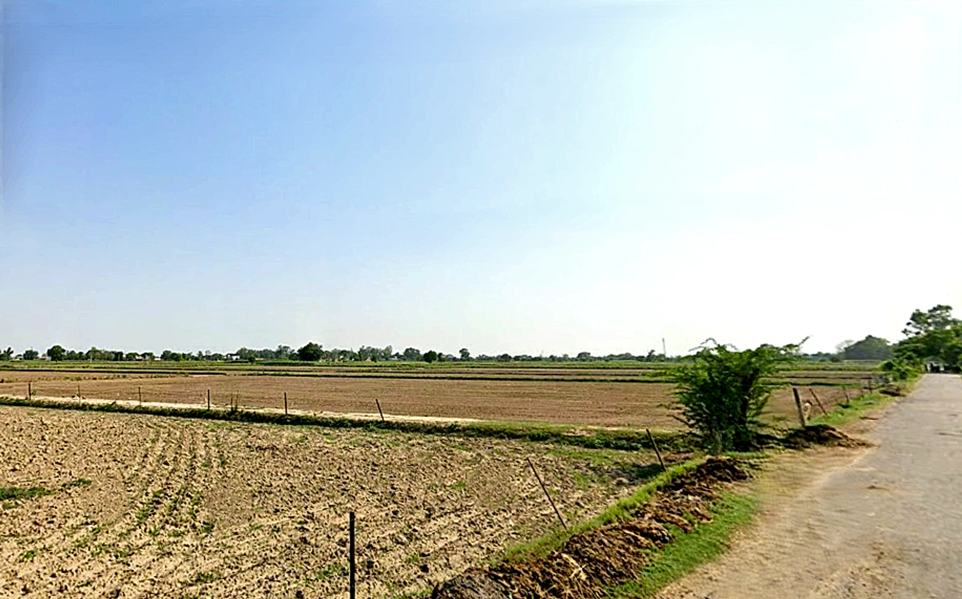 Raya, Uttar Pradesh 281204, India