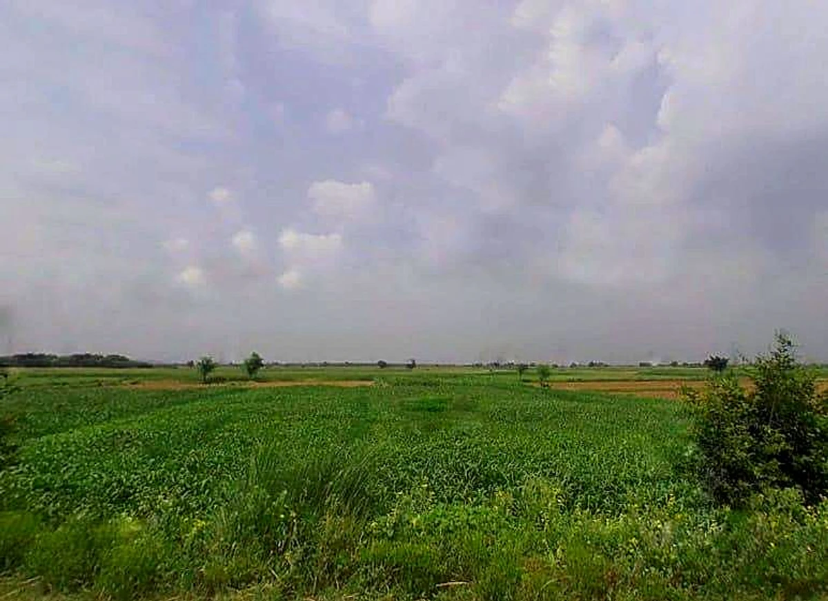 VWQX+G2G, Nawli, Haryana 122108, India