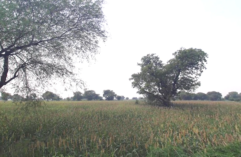 Dangoli Khader, Uttar Pradesh, India