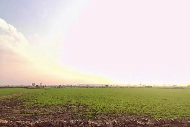 Hirapur, Rajasthan 325003, India
