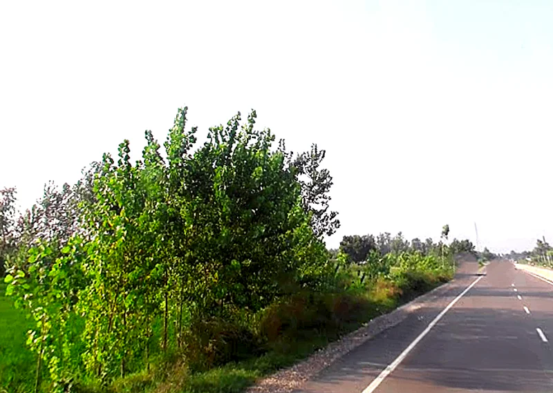 Agricultural Land in Rampur maniharan / sona arjunpur, Saharanpur