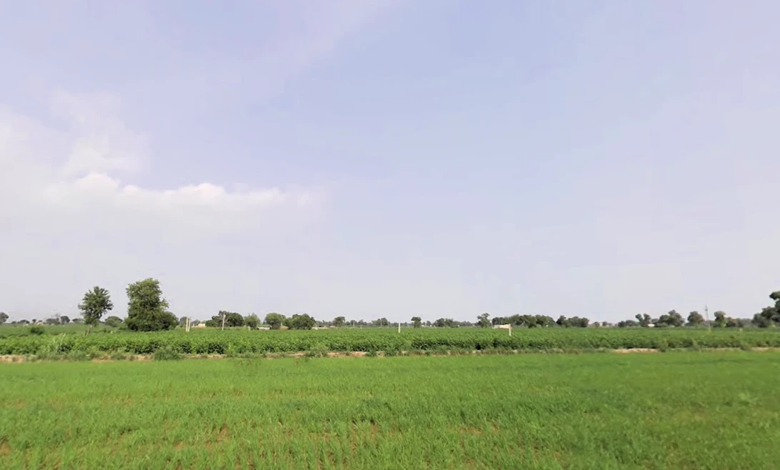 Sirsa, Haryana, India