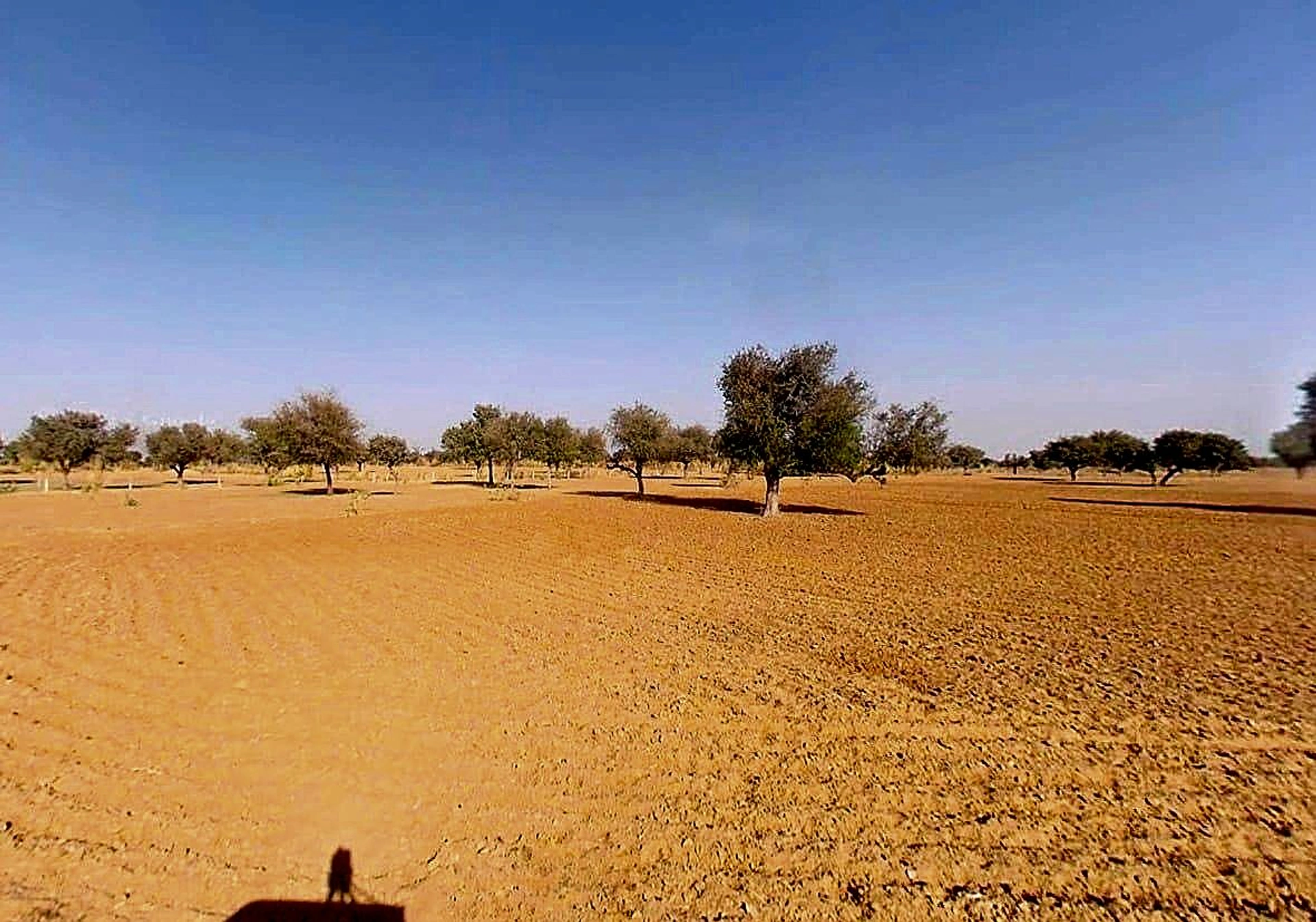 Dhani Boraj, Rajasthan 303328, India