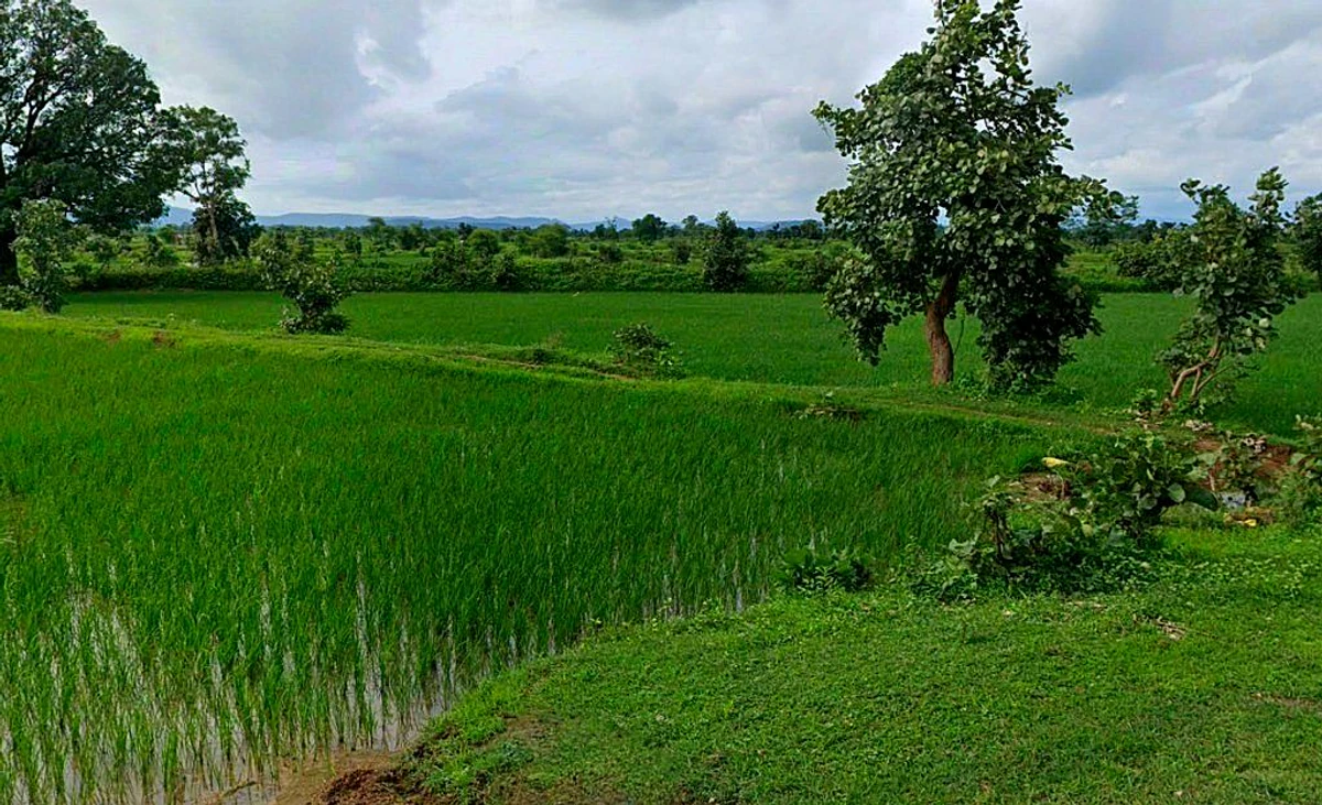 Ahiwara, Chhattisgarh, India