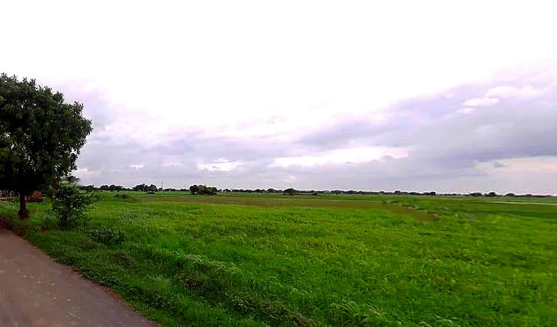 Nawa, Rajasthan 341509, India