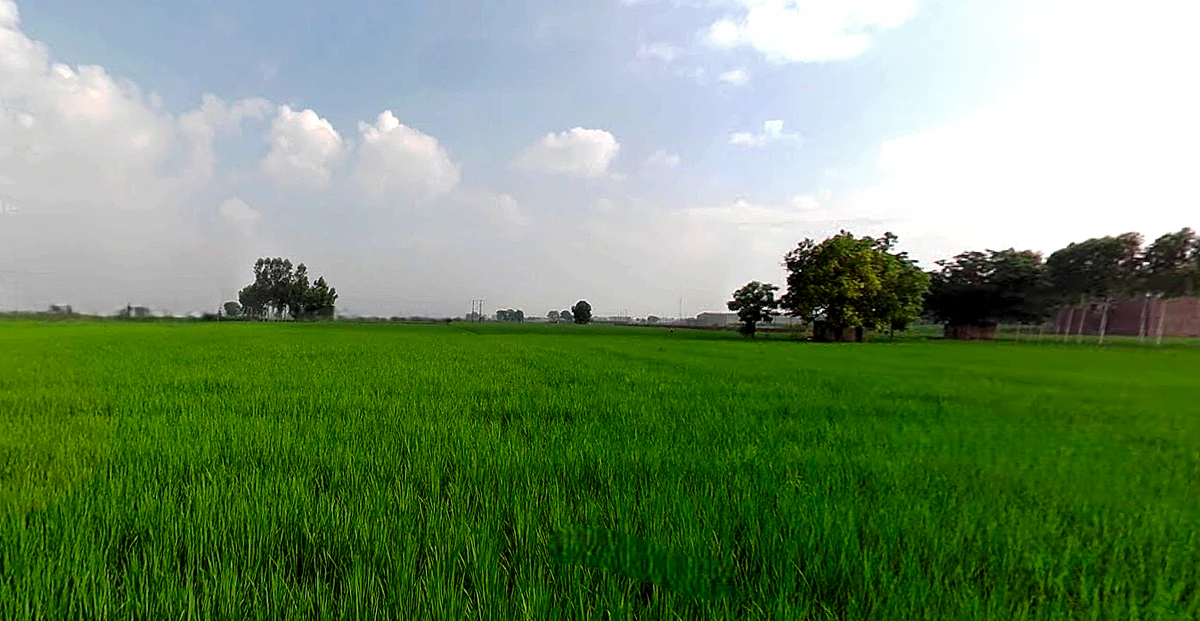 RHGC+759, Morinda Rd, Kurali, Punjab 140103, India