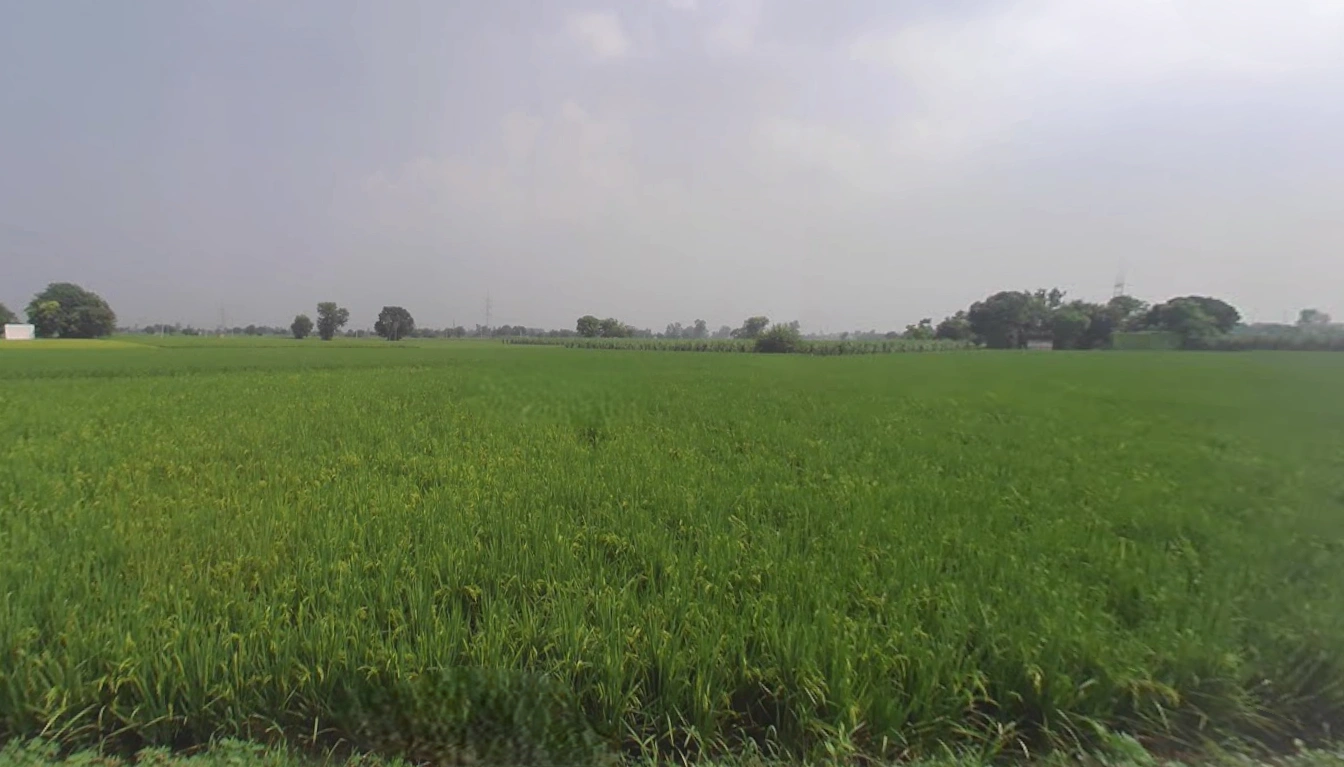 Sapror, Punjab, India