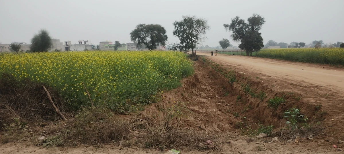 Poonchhari Ka Lautha, Rajasthan, India