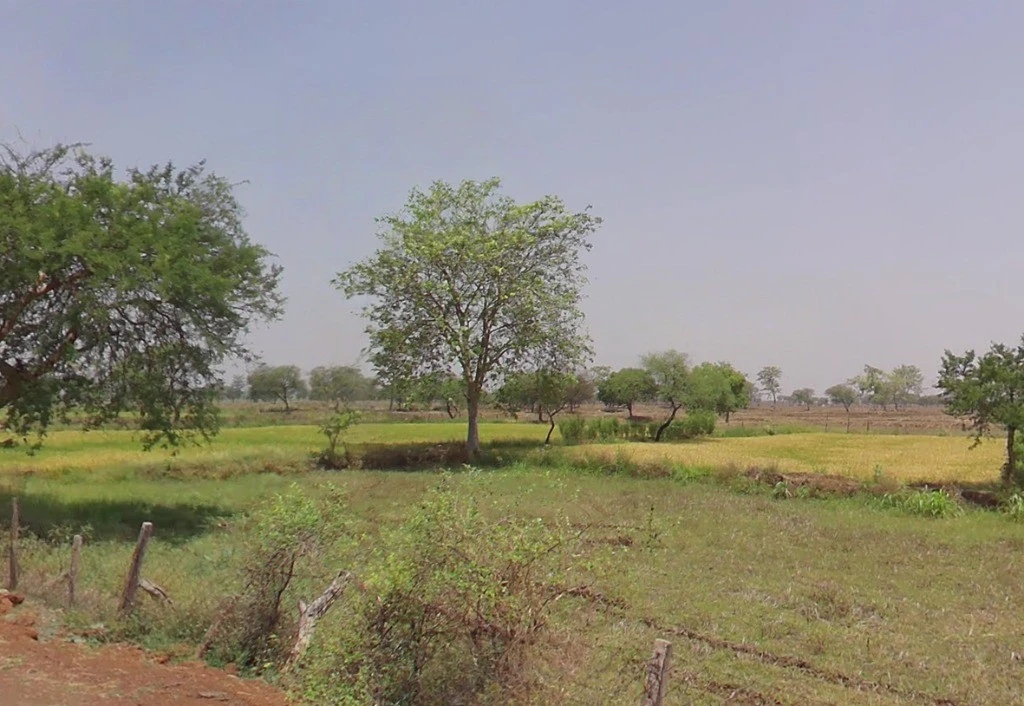 Kharora, Chhattisgarh 493225, India