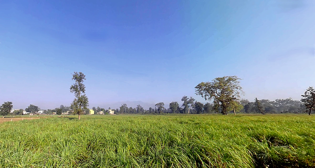 Shyampur, Rishikesh, Uttarakhand 249204, India