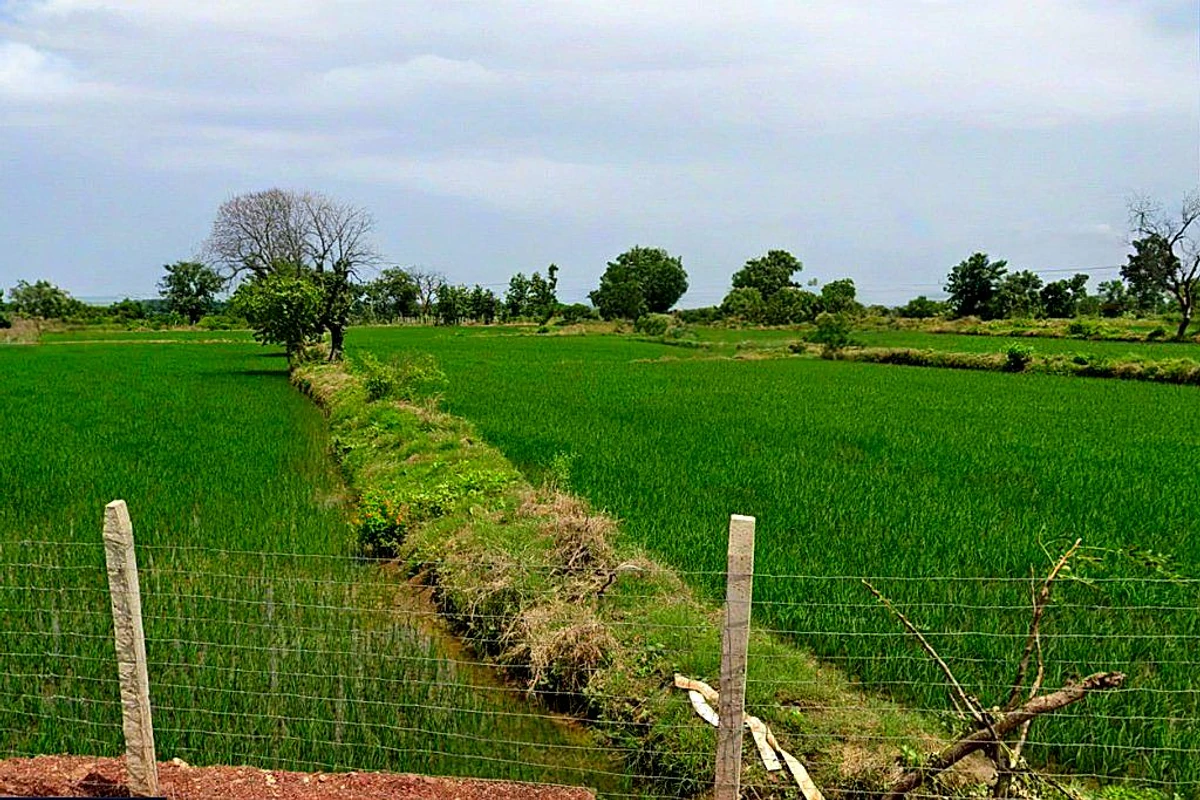 Dargaon, Chhattisgarh 491332, India