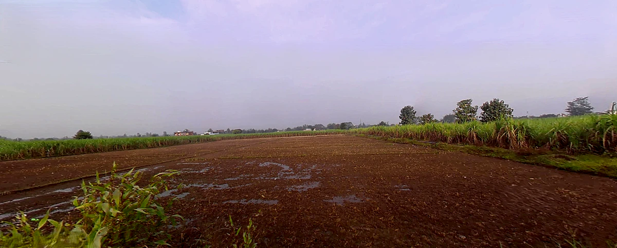 Bhagwanpur, Uttarakhand 247661, India